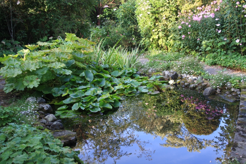 St Stephens Avenue Gardens